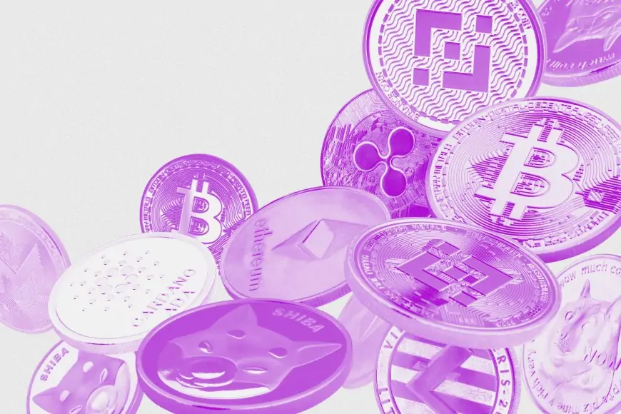 Bitcoin mantém rali, chega a US$ 93 mil e criptomoedas ganham US$ 220 bi de valor em 2 dias